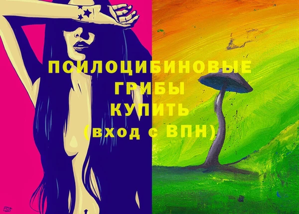 бошки Абаза